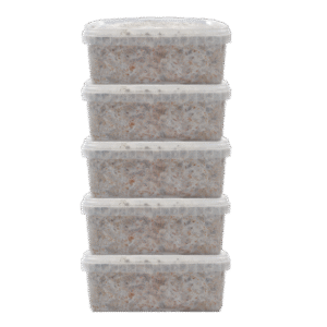 5 Magic Mushroom grow kit Discount Pack – Mondo®