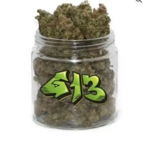 G13