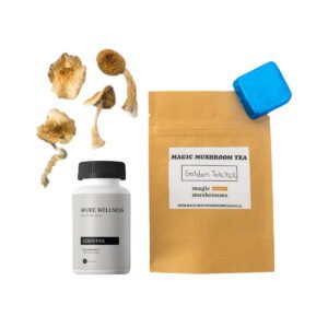 First Timer Magic Mushroom Kit