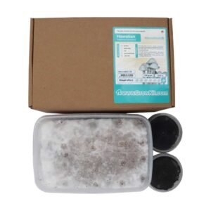 Hawaiian Copelandia Magic Mushroom Grow Kit