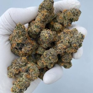 Grape Pie