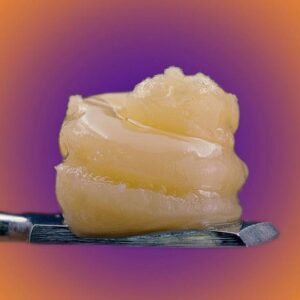 Live budder Papaya Punch (Papaya punch x purple Punch)